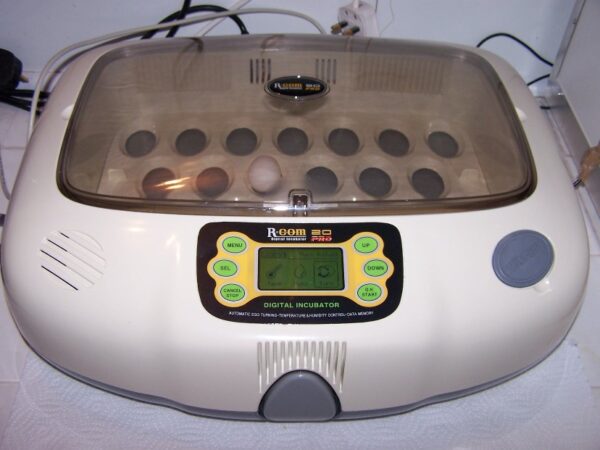 Rcom20 PRO Digital-Incubator(Automatic)